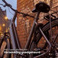 Fietsslot ART 2 - Cycloni 
